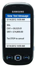 Heartland Bank Text Banking
