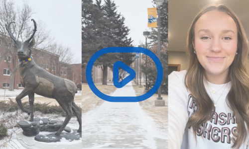 Kaili Head HB Foundation Scholarship