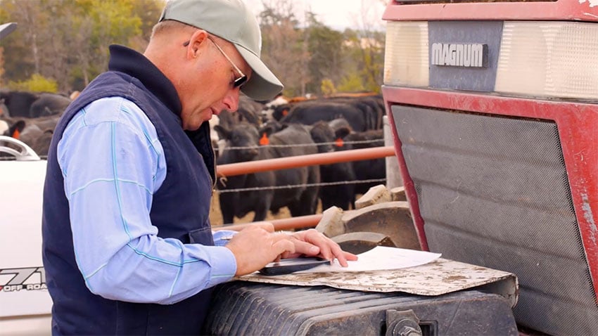 success-story-knapp-farms