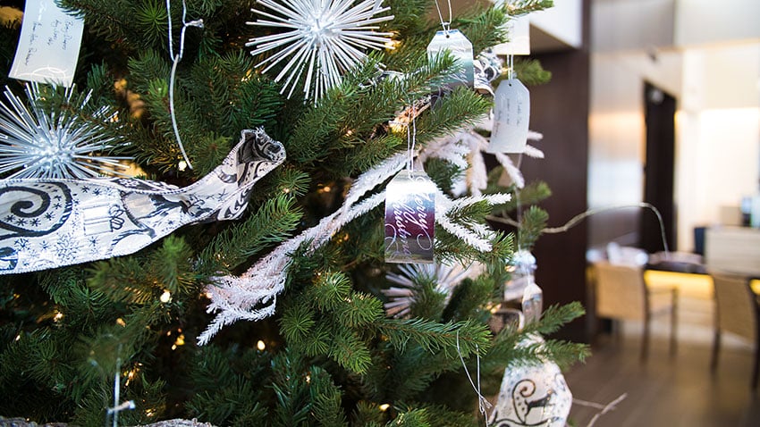 Hastings-Giving-Tree-850.jpg
