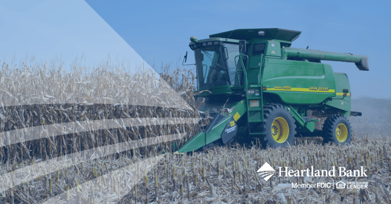 combine harvesting in corn field