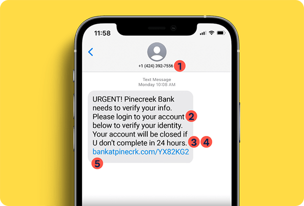 Text Scam