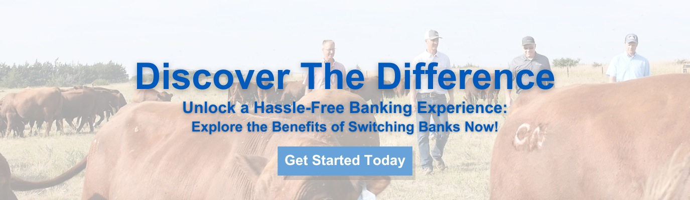 Discover-The-Difference-Switch-Banks